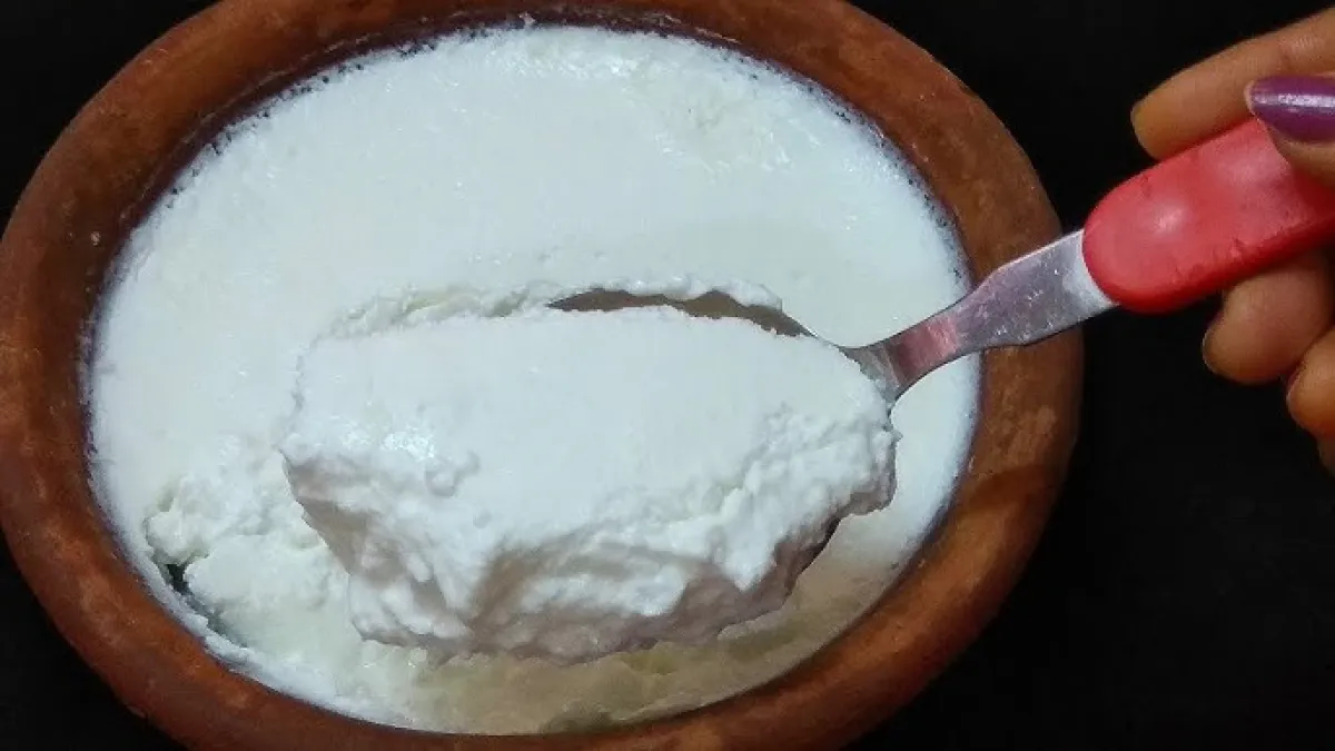 Curd A Superfood That Can Make Your Health Better