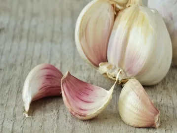 Garlic Garlic Health Benefits A Natural Blessing For Healthy Life